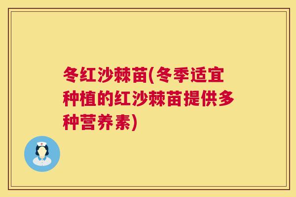冬红沙棘苗(冬季适宜种植的红沙棘苗提供多种营养素)