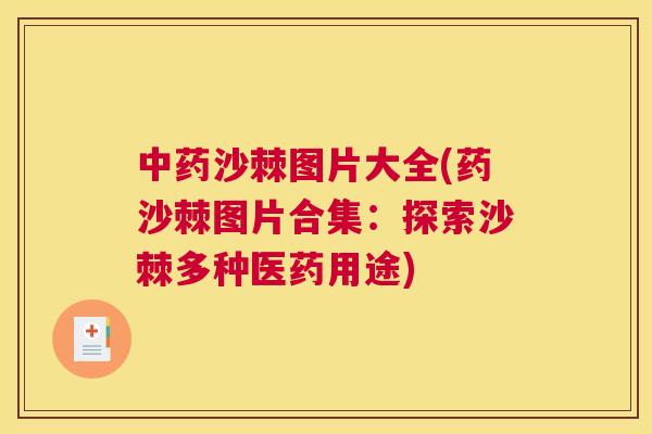中药沙棘图片大全(药沙棘图片合集：探索沙棘多种医药用途)