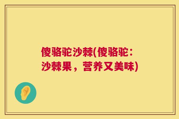 傻骆驼沙棘(傻骆驼：沙棘果，营养又美味)
