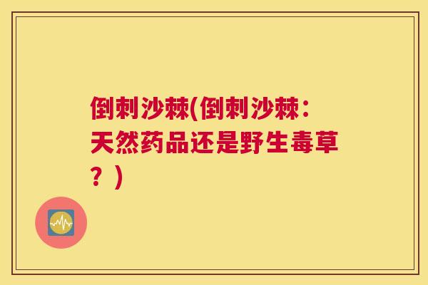 倒刺沙棘(倒刺沙棘：天然药品还是野生毒草？)