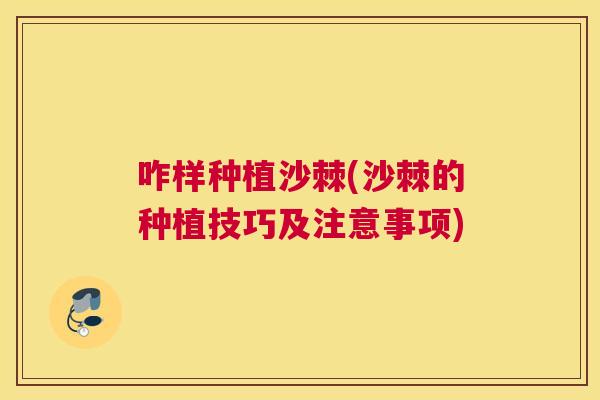 咋样种植沙棘(沙棘的种植技巧及注意事项)