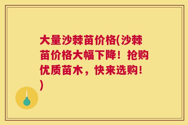 大量沙棘苗价格(沙棘苗价格大幅下降！抢购优质苗木，快来选购！)