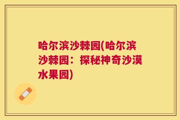 哈尔滨沙棘园(哈尔滨沙棘园：探秘神奇沙漠水果园)