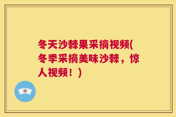 冬天沙棘果采摘视频(冬季采摘美味沙棘，惊人视频！)