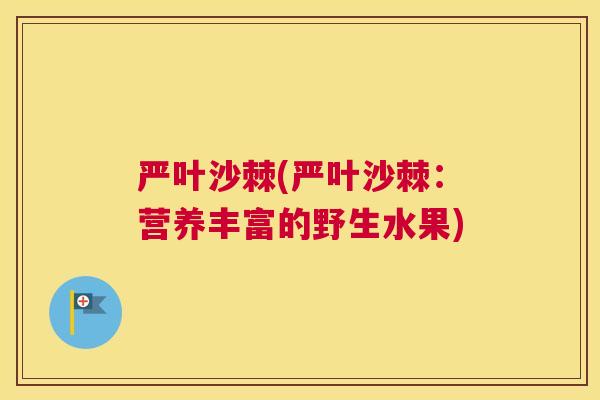 严叶沙棘(严叶沙棘：营养丰富的野生水果)