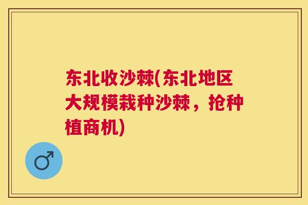 东北收沙棘(东北地区大规模栽种沙棘，抢种植商机)