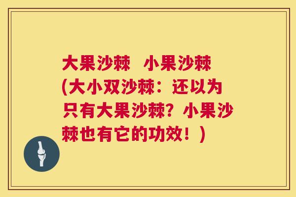 大果沙棘  小果沙棘(大小双沙棘：还以为只有大果沙棘？小果沙棘也有它的功效！)
