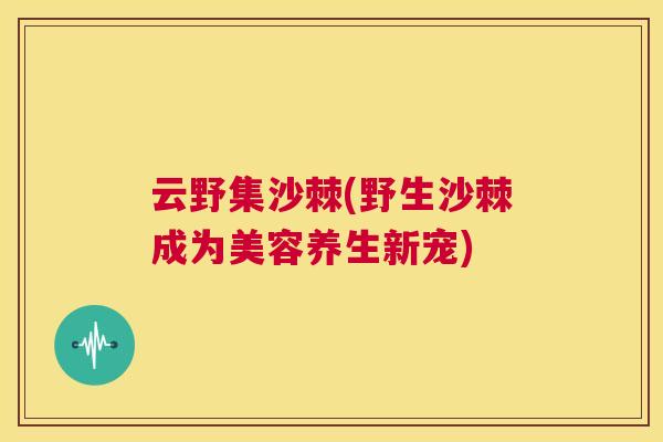 云野集沙棘(野生沙棘成为美容养生新宠)