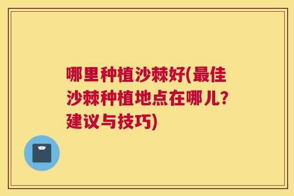 哪里种植沙棘好(最佳沙棘种植地点在哪儿？建议与技巧)