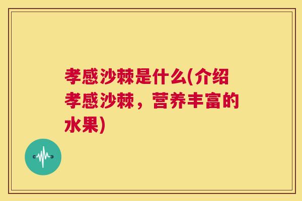 孝感沙棘是什么(介绍孝感沙棘，营养丰富的水果)