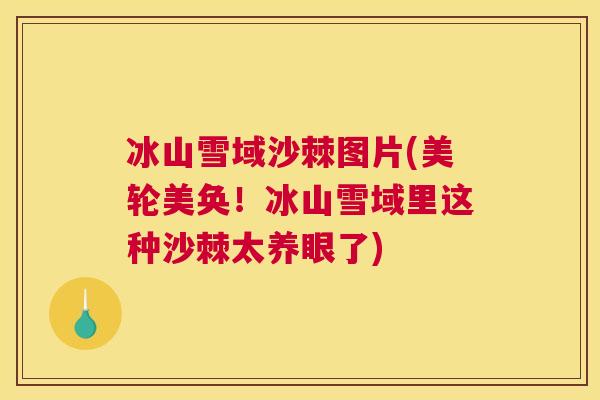 冰山雪域沙棘图片(美轮美奂！冰山雪域里这种沙棘太养眼了)