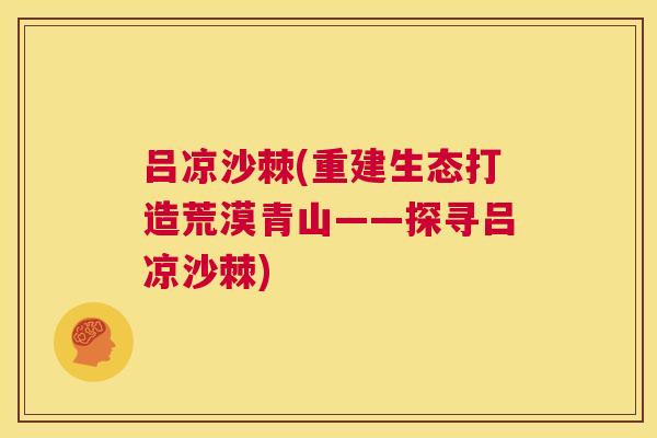 吕凉沙棘(重建生态打造荒漠青山——探寻吕凉沙棘)