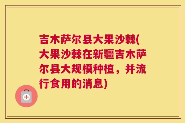 吉木萨尔县大果沙棘(大果沙棘在新疆吉木萨尔县大规模种植，并流行食用的消息)