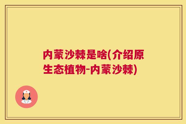 内蒙沙棘是啥(介绍原生态植物-内蒙沙棘)