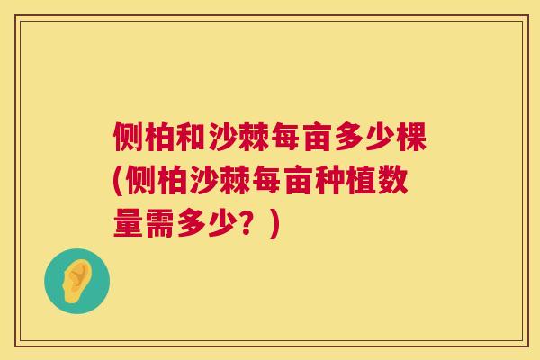 侧柏和沙棘每亩多少棵(侧柏沙棘每亩种植数量需多少？)