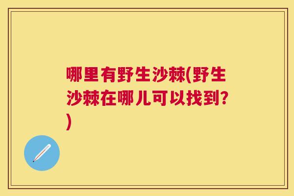 哪里有野生沙棘(野生沙棘在哪儿可以找到？)