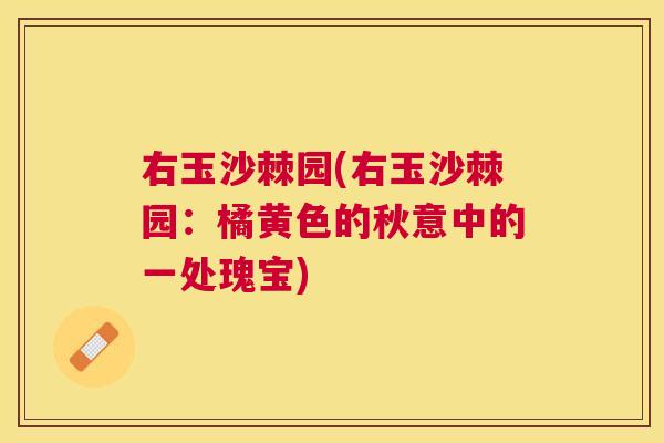 右玉沙棘园(右玉沙棘园：橘黄色的秋意中的一处瑰宝)