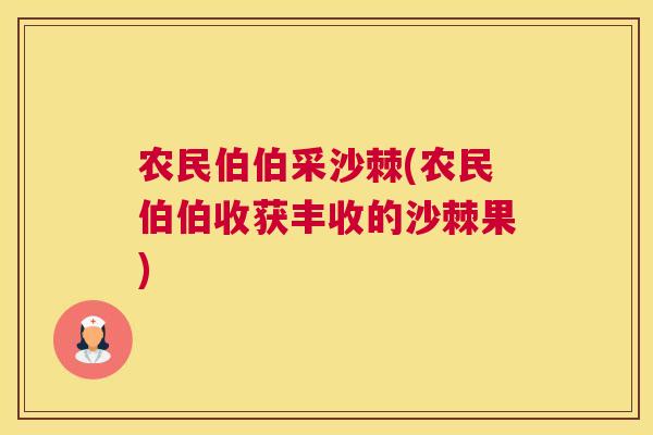 农民伯伯采沙棘(农民伯伯收获丰收的沙棘果)