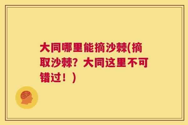 大同哪里能摘沙棘(摘取沙棘？大同这里不可错过！)