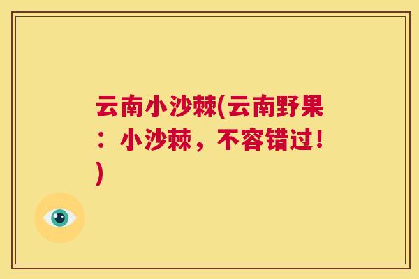 云南小沙棘(云南野果：小沙棘，不容错过！)