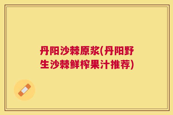 丹阳沙棘原浆(丹阳野生沙棘鲜榨果汁推荐)