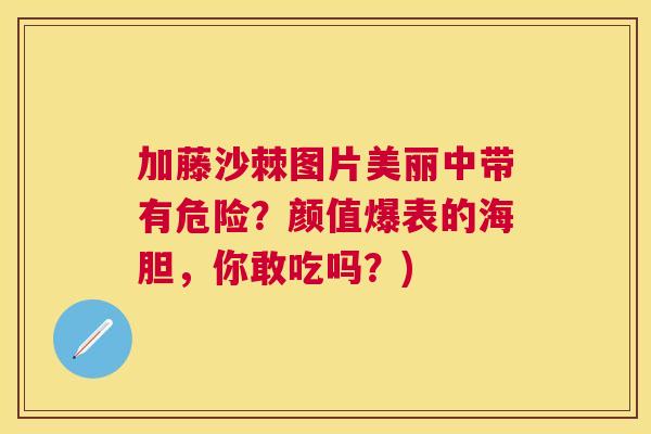 加藤沙棘图片美丽中带有危险？颜值爆表的海胆，你敢吃吗？)