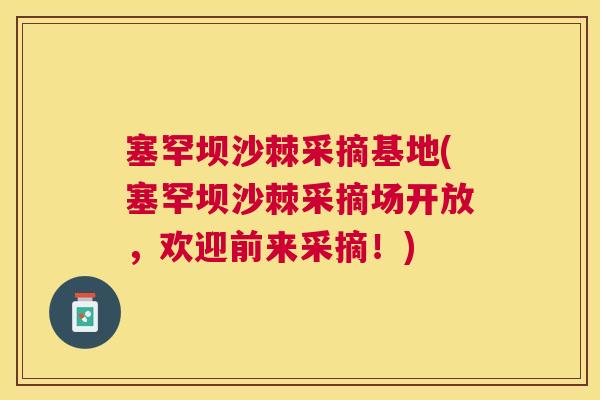 塞罕坝沙棘采摘基地(塞罕坝沙棘采摘场开放，欢迎前来采摘！)