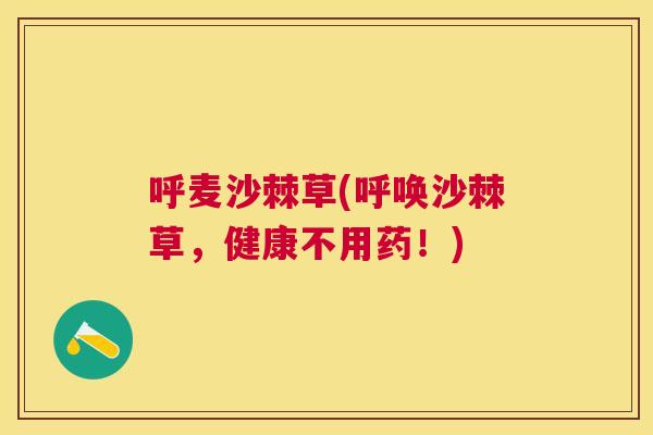 呼麦沙棘草(呼唤沙棘草，健康不用药！)