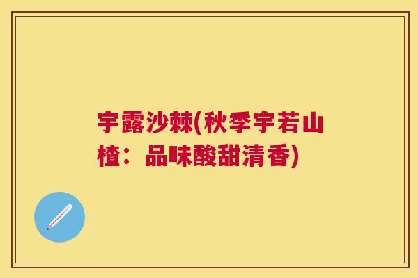 宇露沙棘(秋季宇若山楂：品味酸甜清香)