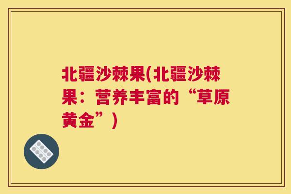 北疆沙棘果(北疆沙棘果：营养丰富的“草原黄金”)