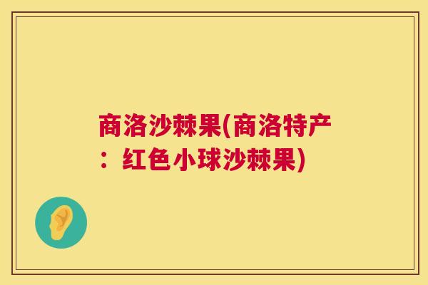 商洛沙棘果(商洛特产：红色小球沙棘果)