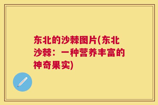 东北的沙棘图片(东北沙棘：一种营养丰富的神奇果实)