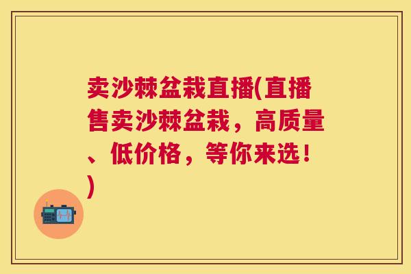 卖沙棘盆栽直播(直播售卖沙棘盆栽，高质量、低价格，等你来选！)