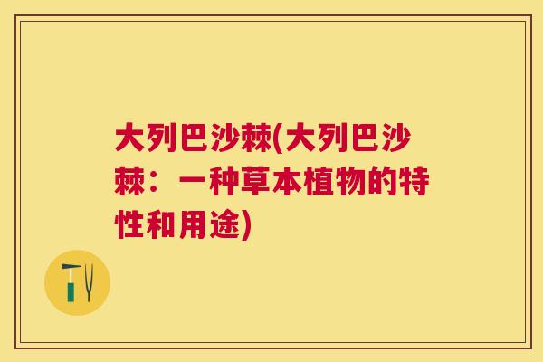 大列巴沙棘(大列巴沙棘：一种草本植物的特性和用途)