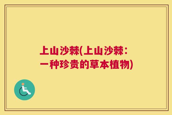 上山沙棘(上山沙棘：一种珍贵的草本植物)