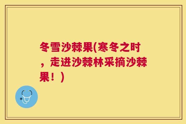 冬雪沙棘果(寒冬之时，走进沙棘林采摘沙棘果！)