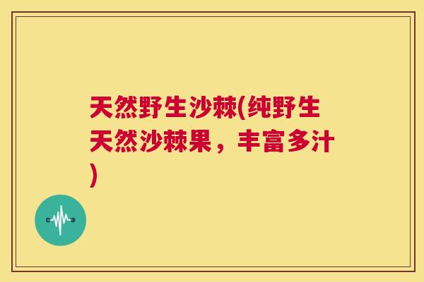 天然野生沙棘(纯野生天然沙棘果，丰富多汁)