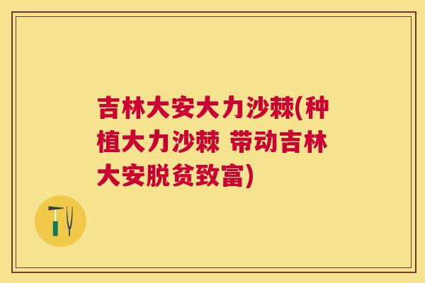 吉林大安大力沙棘(种植大力沙棘 带动吉林大安脱贫致富)