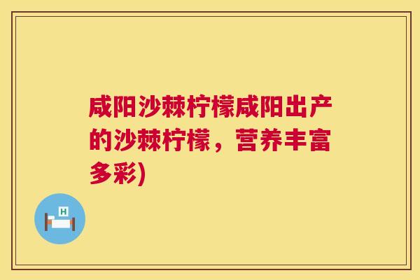 咸阳沙棘柠檬咸阳出产的沙棘柠檬，营养丰富多彩)