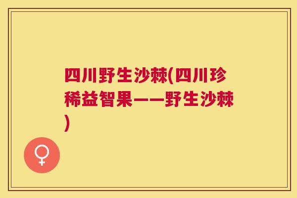四川野生沙棘(四川珍稀益智果——野生沙棘)