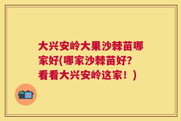 大兴安岭大果沙棘苗哪家好(哪家沙棘苗好？看看大兴安岭这家！)