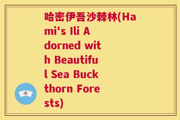 哈密伊吾沙棘林(Hami's Ili Adorned with Beautiful Sea Buckthorn Forests)