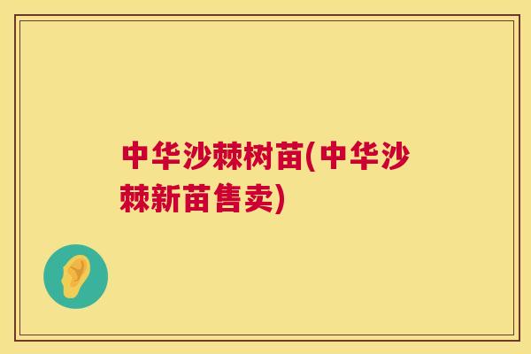 中华沙棘树苗(中华沙棘新苗售卖)