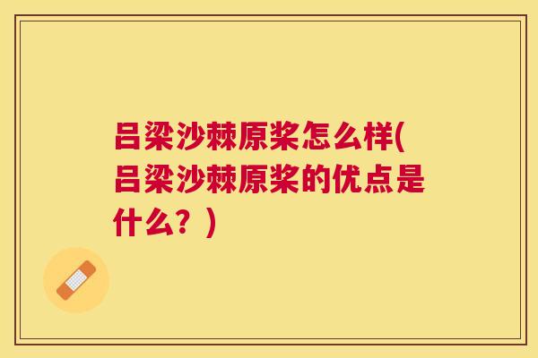 吕梁沙棘原桨怎么样(吕梁沙棘原桨的优点是什么？)