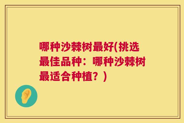 哪种沙棘树最好(挑选最佳品种：哪种沙棘树最适合种植？)