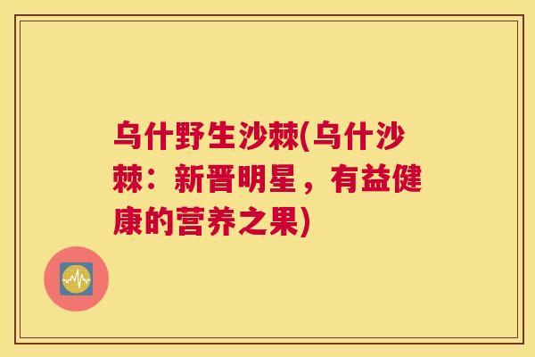 乌什野生沙棘(乌什沙棘：新晋明星，有益健康的营养之果)