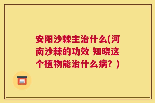 安阳沙棘主什么(河南沙棘的功效 知晓这个植物能什么?) 安阳沙棘主什么(河南沙棘的功效 知晓这个植物能什么?)