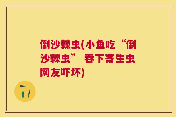 倒沙棘虫(小鱼吃“倒沙棘虫” 吞下寄生虫网友吓坏)