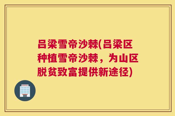 吕梁雪帝沙棘(吕梁区种植雪帝沙棘，为山区脱贫致富提供新途径)