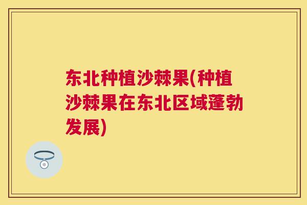 东北种植沙棘果(种植沙棘果在东北区域蓬勃发展)